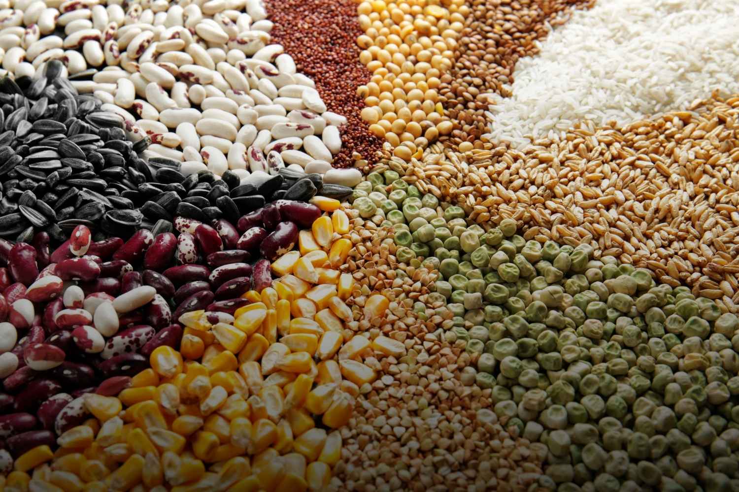Grain Moisture Database: Supported Grain Types & Calibration Data for Grainsure Moisture Meters
