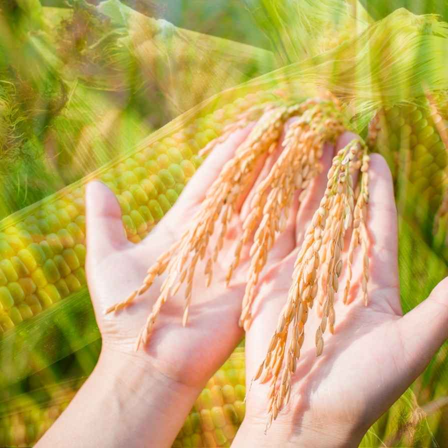 Deep Dive: Stopping 'Latent Loss' to Boost Farmers' Profits